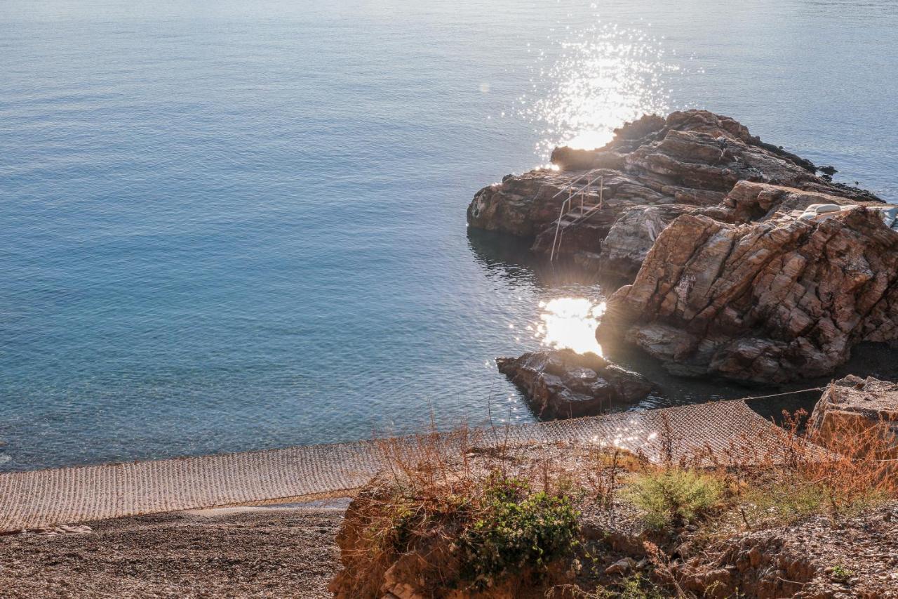 Thalasses Villas Skiathos Punta Eksteriør billede