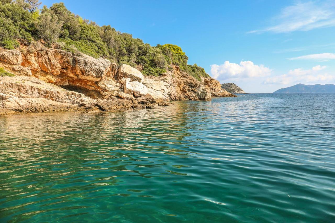 Thalasses Villas Skiathos Punta Eksteriør billede