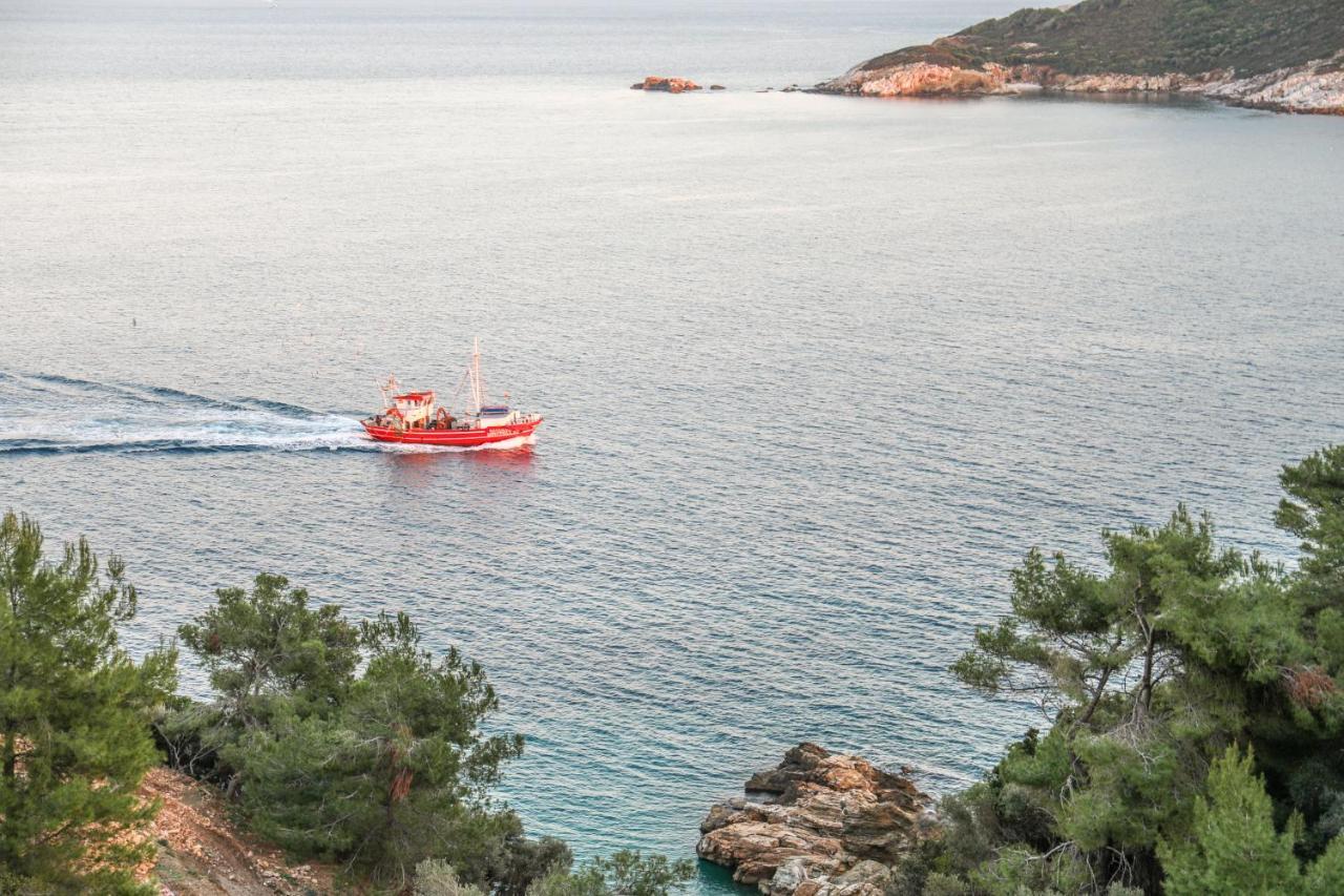 Thalasses Villas Skiathos Punta Eksteriør billede